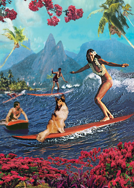 Surfing Lassie Dog Poster Gift Wrap Surfing Lassie Dog Poster Gift Wrap
